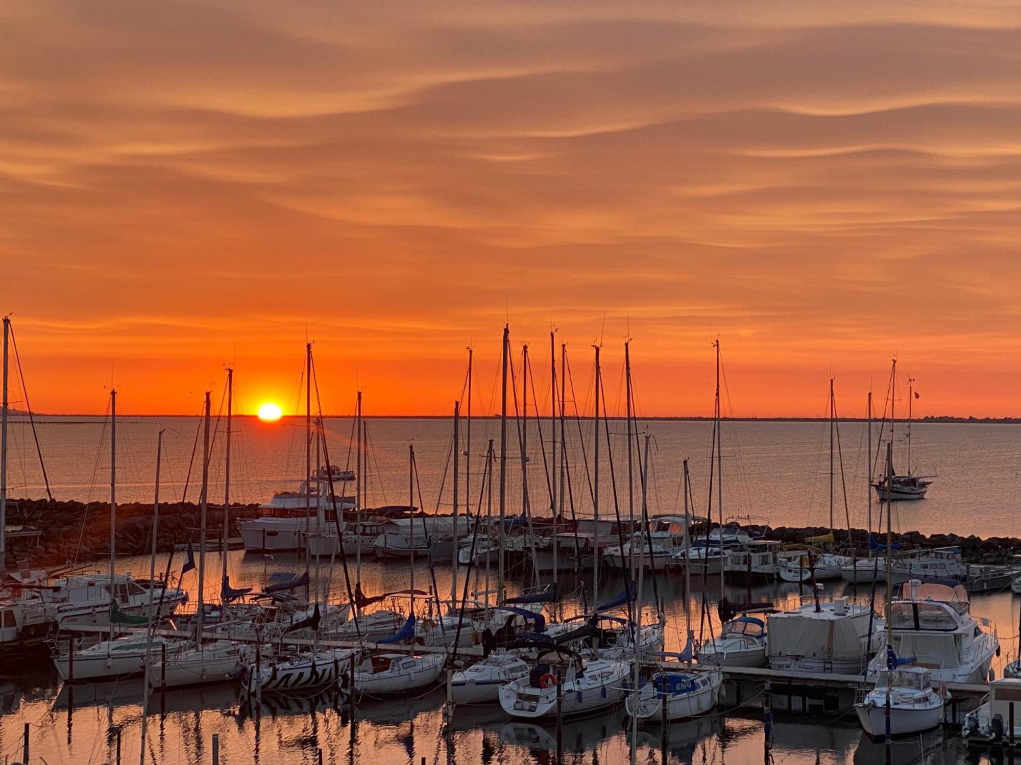 Un Endroit De Reve Lejlighed Marseillan  Eksteriør billede